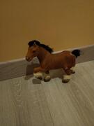 cheval miniature
