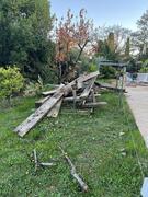 bois provenant d'une partie de pergola, traité autoclave, toutes dimensions