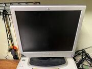 donne écran plat d’ordinateur