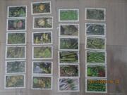 24 timbres oblitérés France -Légumes et fruits