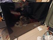 Télé TCL écran cassé