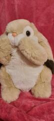 lapin peluche