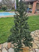 Sapin 1m80