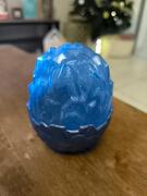 boite oeuf dinausore