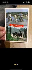 carte postale Camargue