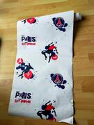 pan de papier peint PSG