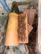 17 tuiles Gelis plein sud