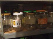 Bocaux de grande taille