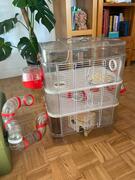 cage petit rongeur à étages