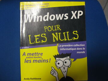 Windows pour les nuls