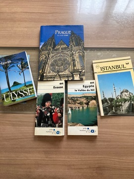 Guides de voyage (lot 2)