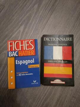 Apprentissage espagnol: dictionnaire et fiches Bac