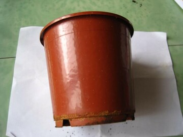 Pot pour plante plastique marron