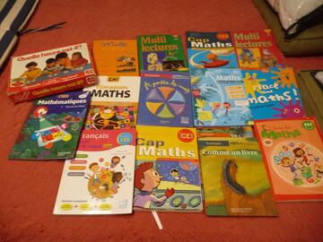 Lot de livres scolaires