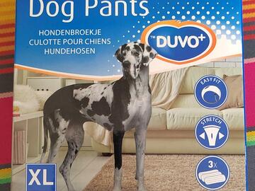 Culotte chien XL