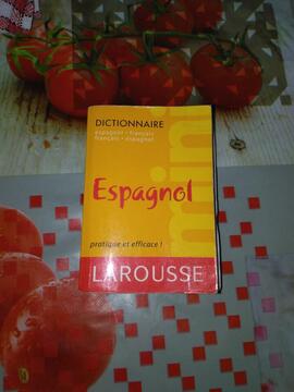 Mini dictionnaire espagnol