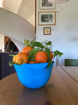 Oranges amères pour “marmalade”