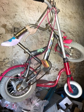 une patinette à trois roues et un Petit vélo sans roulettes pour enfants de 4 ou 5 ans
