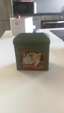 Petite boîte métal décor chats
