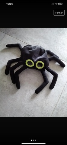 déguisement enfant araignée