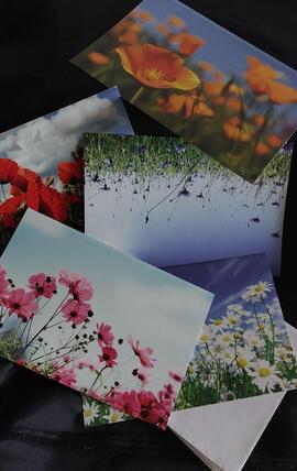 Cartes postales fleurs