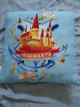 coussin harry potter