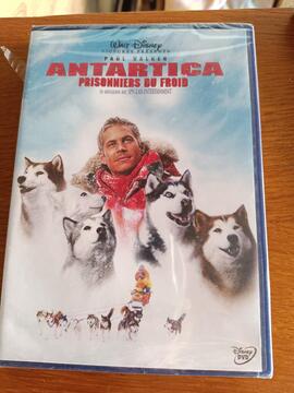 DVD antartica