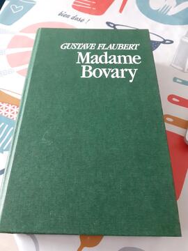Livre " Madame Bovary "