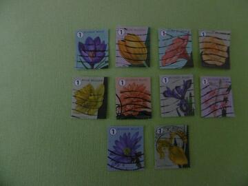 Série timbres fleurs de Belgique