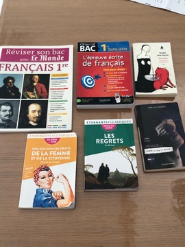 livres bac français