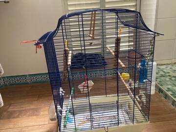 cage oiseau, canari