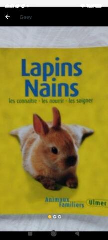 lapins 🐰 nains