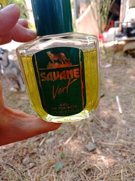 Parfum Savane vert