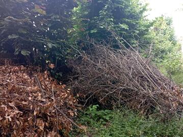 Copeaux de bois pour paillage ou litière