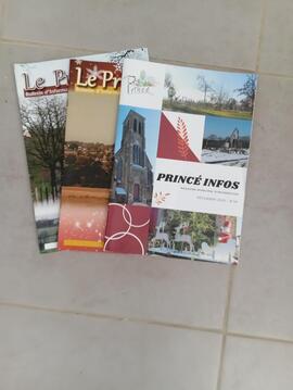 Lot de bulletins princeens