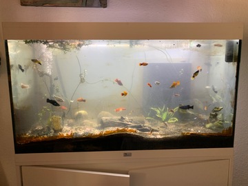 aquarium avec meuble 180l