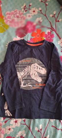 tee shirt Dinosaure 8 ans