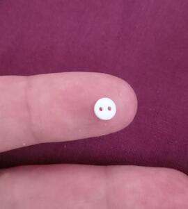 Le plus petit bouton du monde