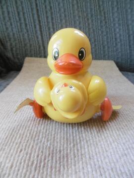 Trott Canard Tomy