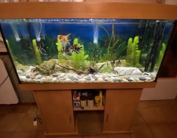 Aquarium Rio Juwel 350l sur meuble tout équipé en bon état