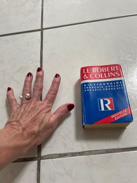 petit dictionnaire français anglais