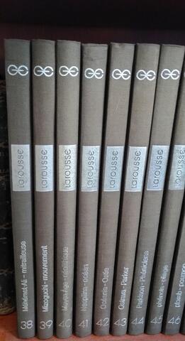 La grande encyclopédie Larousse. En 60 volumes 1971-1978.