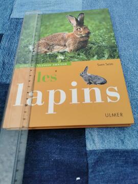 Lapin - Tout savoir sur le lapin