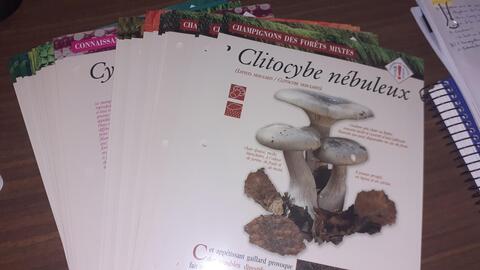 Fiches sur les champignons