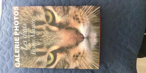 coffret photo et cadres chat