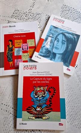 lot livres 'petits polars'