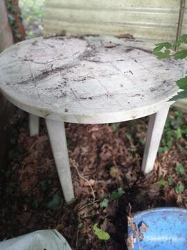 Table de jardin en plastique blanche, à nettoyer et rénover