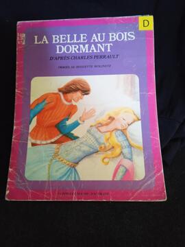 livre la belle au bois dormant