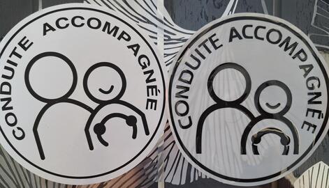 3 disques conduite accompagnée dont 1 magnétique