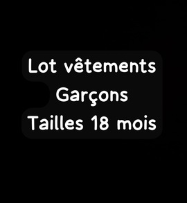 lot vêtements garçons 18 mois